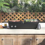 Grill & Plancha Plate Grill & Plancha Plate