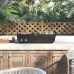 Grill & Plancha Plate Grill & Plancha Plate