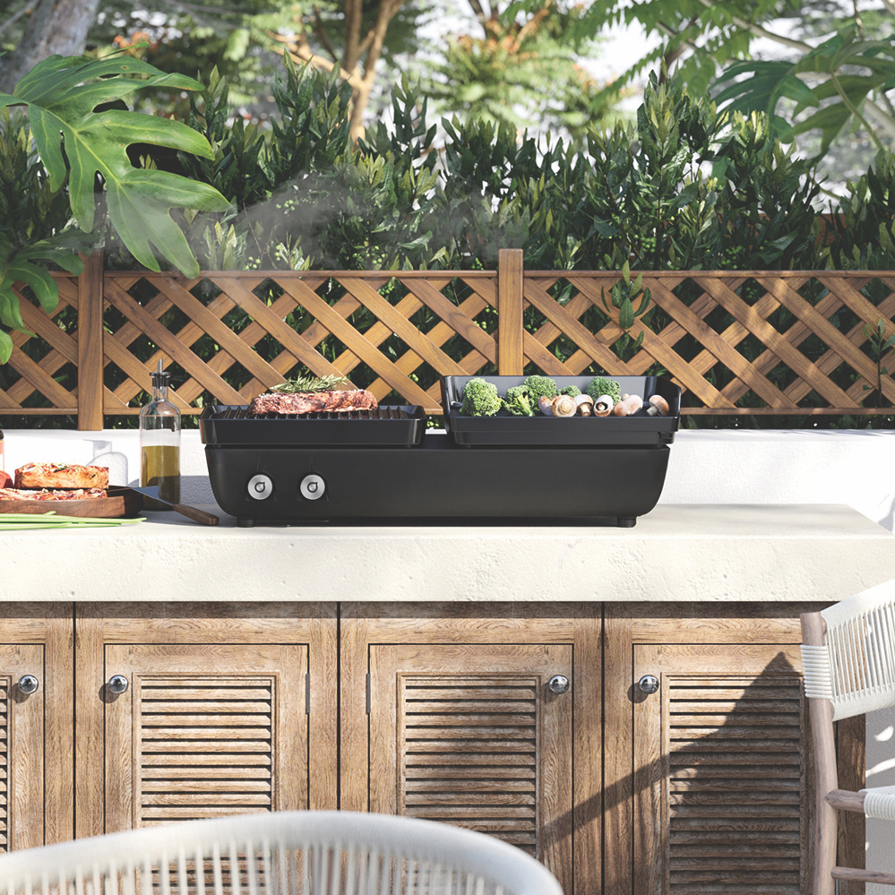 Grill & Plancha Plate