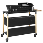 Grill & Plancha Plate Grill & Plancha Plate