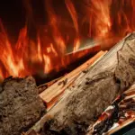 Real Logs